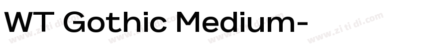 WT Gothic Medium字体转换